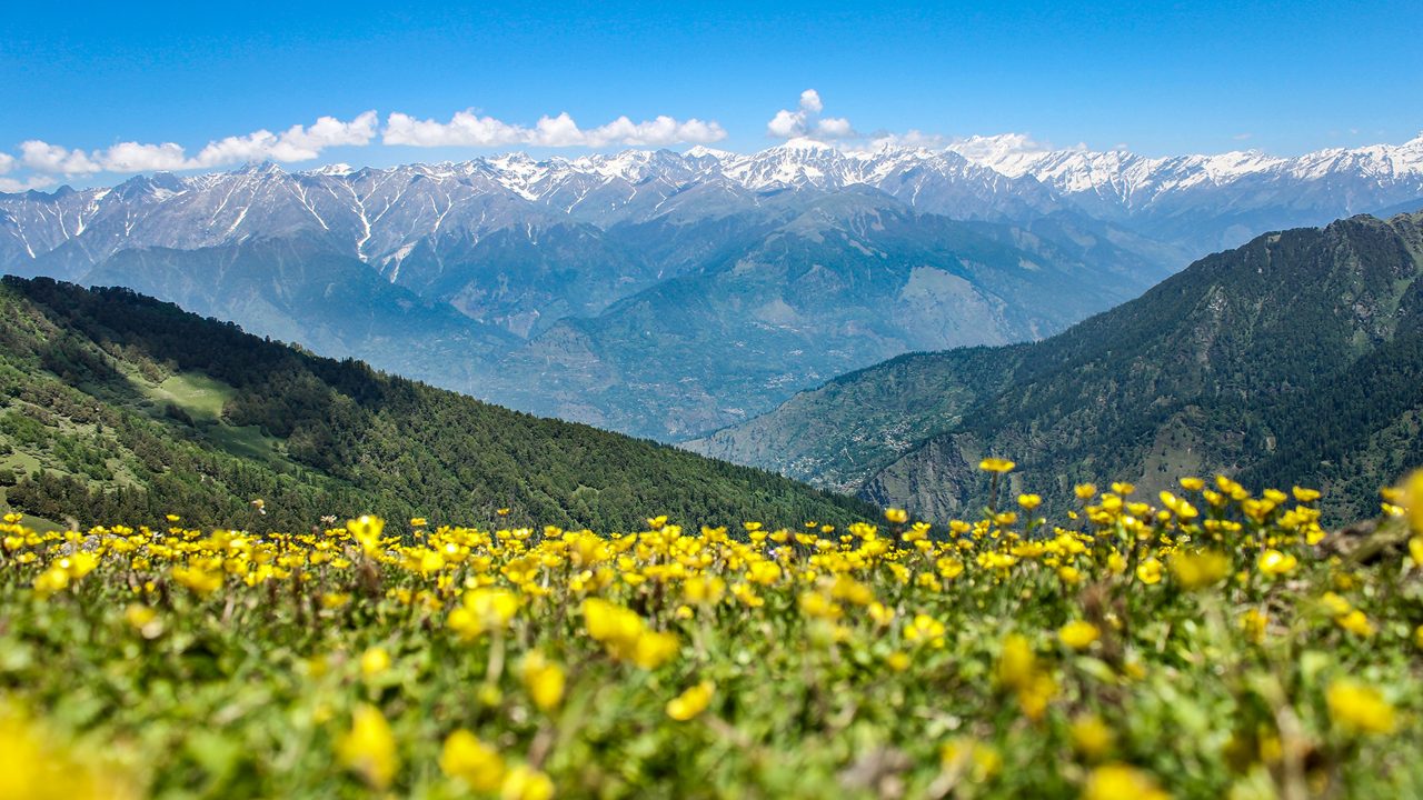 Himachal pradesh new proeprty open