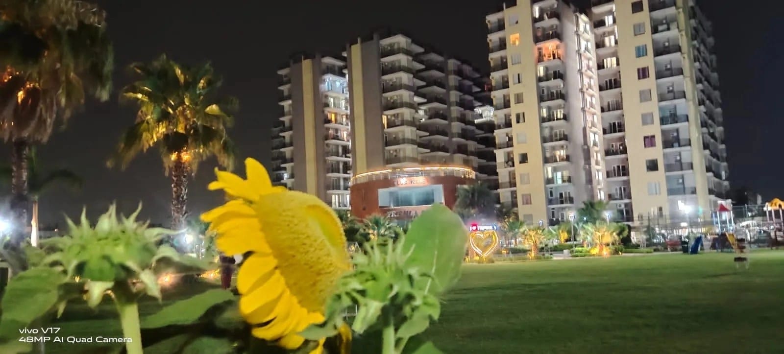 Trishla City