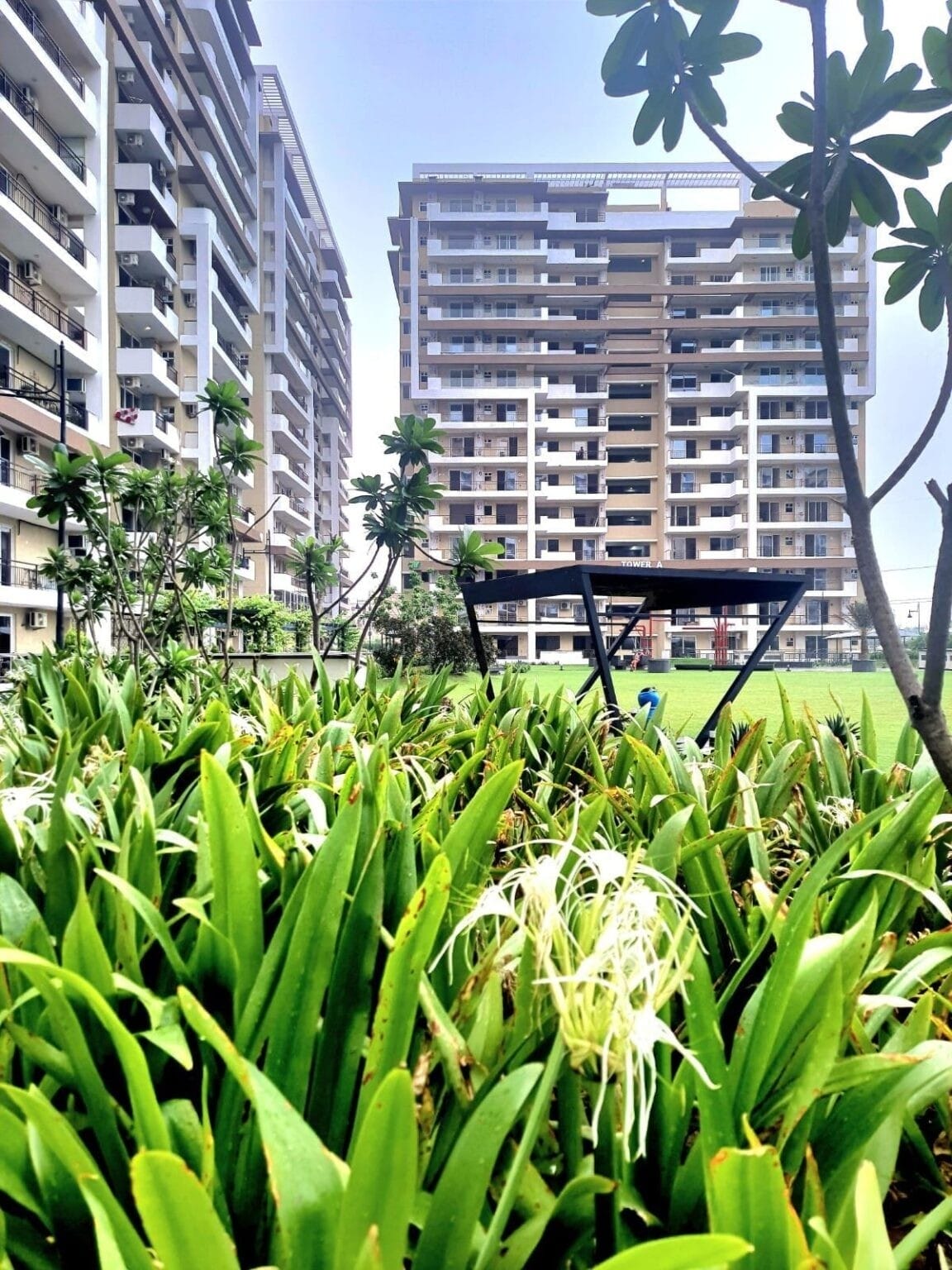 Green Lotus Utsav Zirakpur